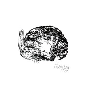 greetingcard_sleeping__rabbit_melissa_halley