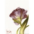 30x30_challenge_20160123_melissa_halley