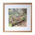 melissahalley_wren_winterkoning_artprint_giclee_frame_72